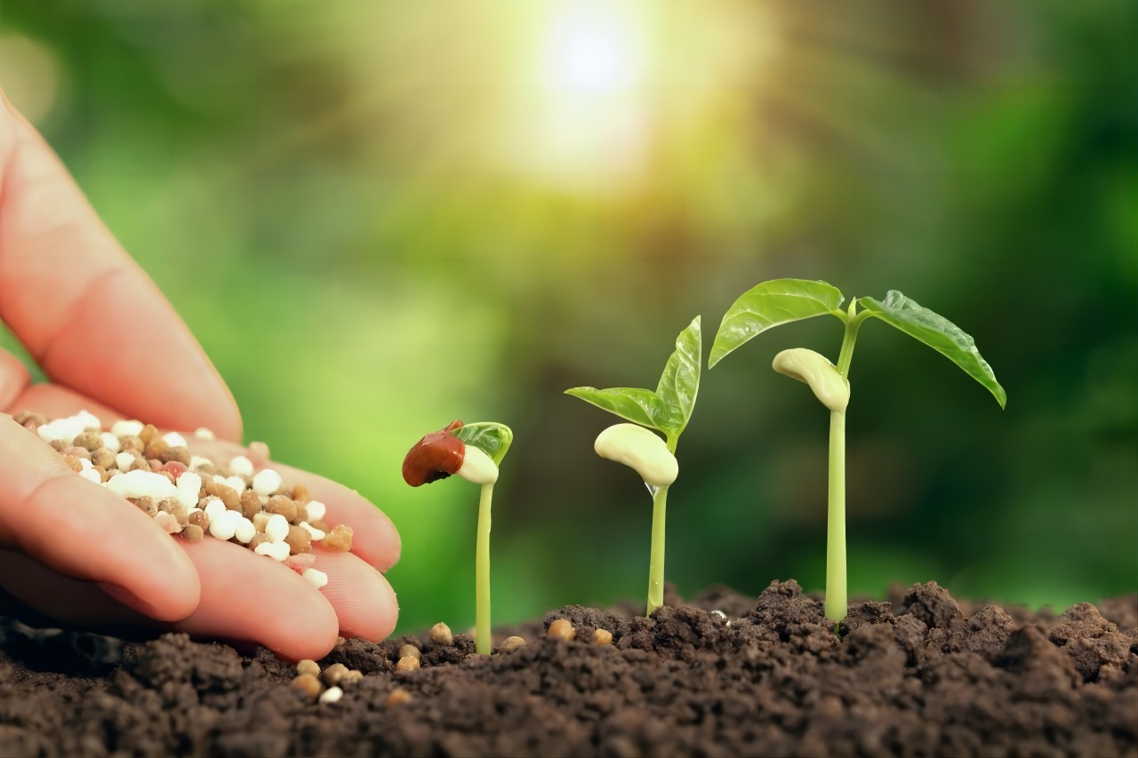 Introduction of EU Fertilizer Regulation ChemLinked
