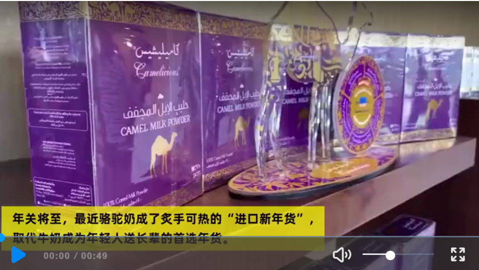 camel-milk-became-hot-2.png