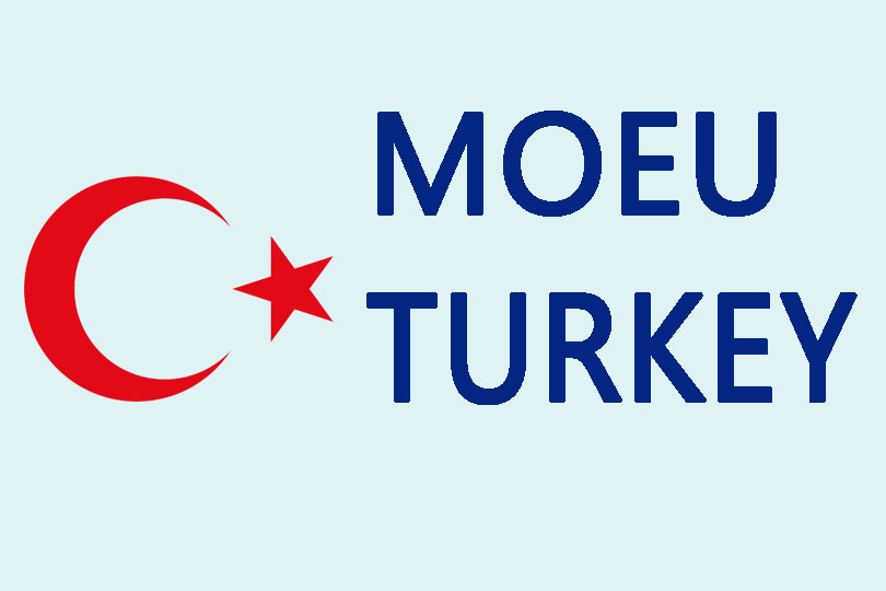 Turkey Still Waits for First REACH Regulation ChemLinked