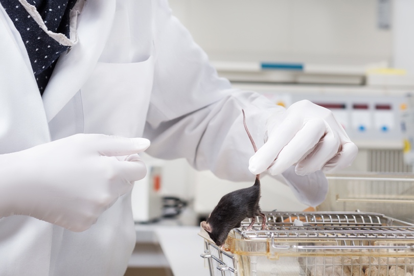 974-1.jpg