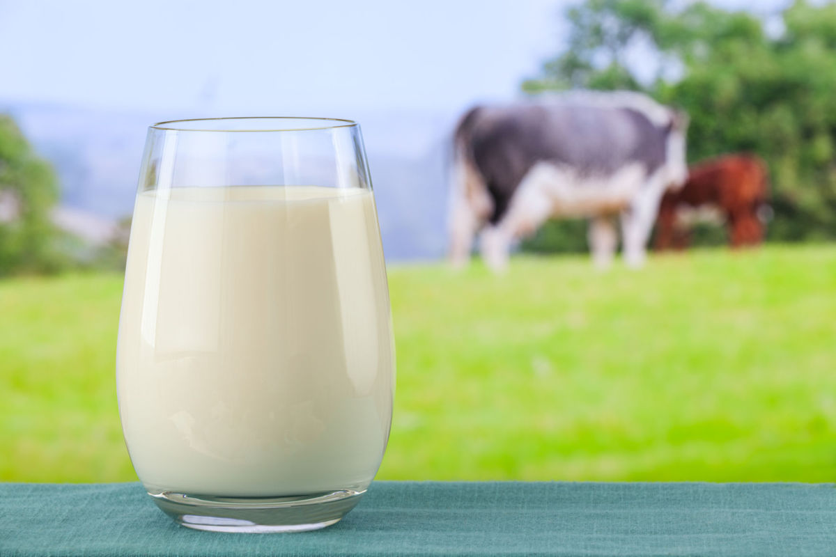 significant_japan_food_regulation_updates_in_2017_dairy_products_.jpg