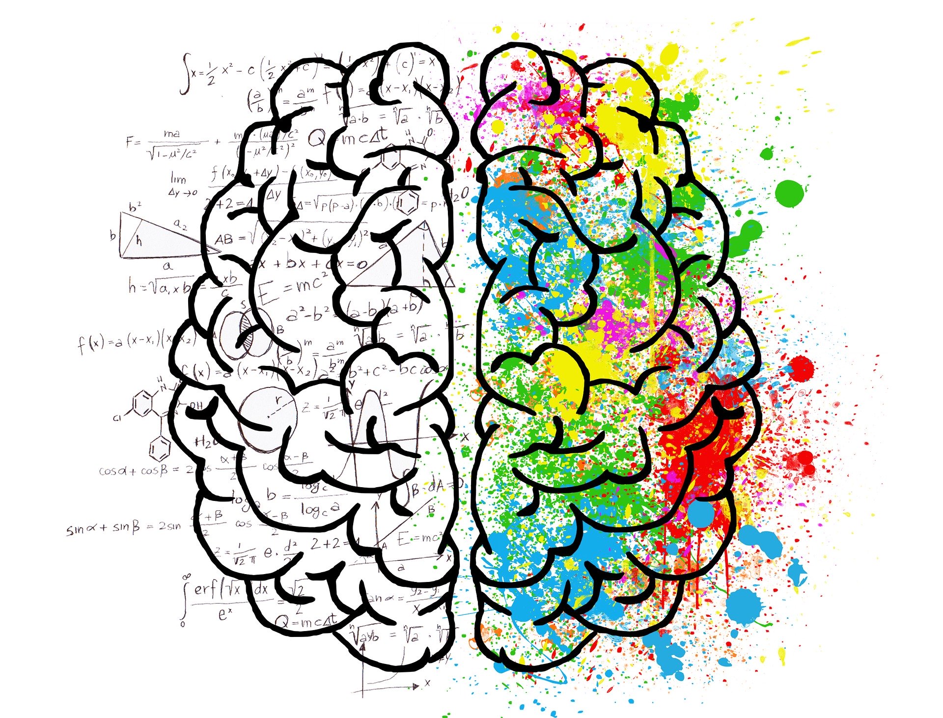 brain-2062057-1920-2.jpg