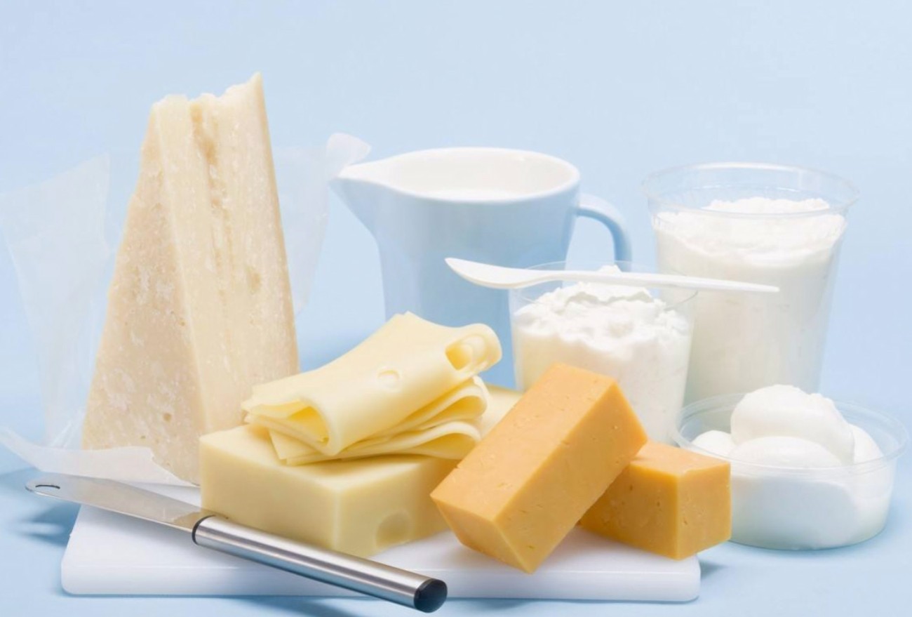 dairy products