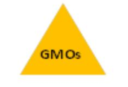 GMO.png