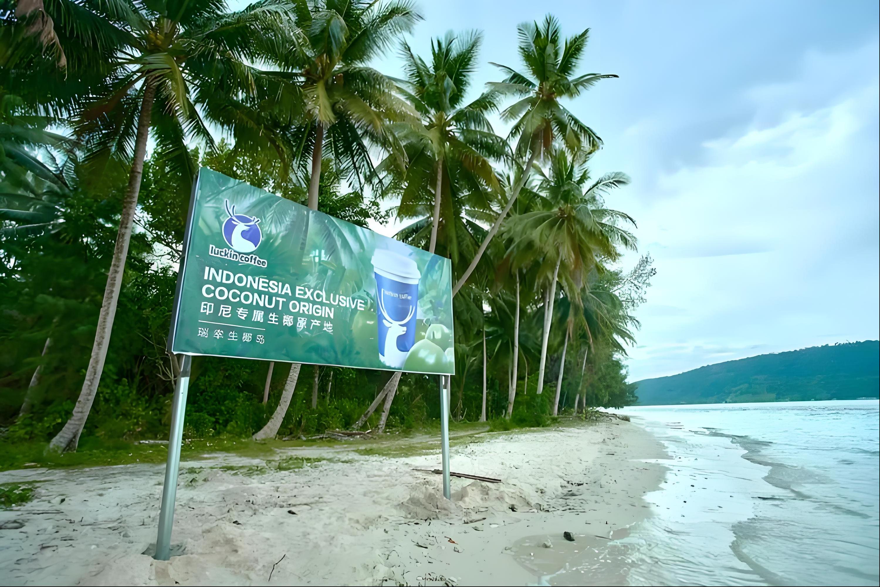 Luckin Exclusive Coconut Island in Indonesia