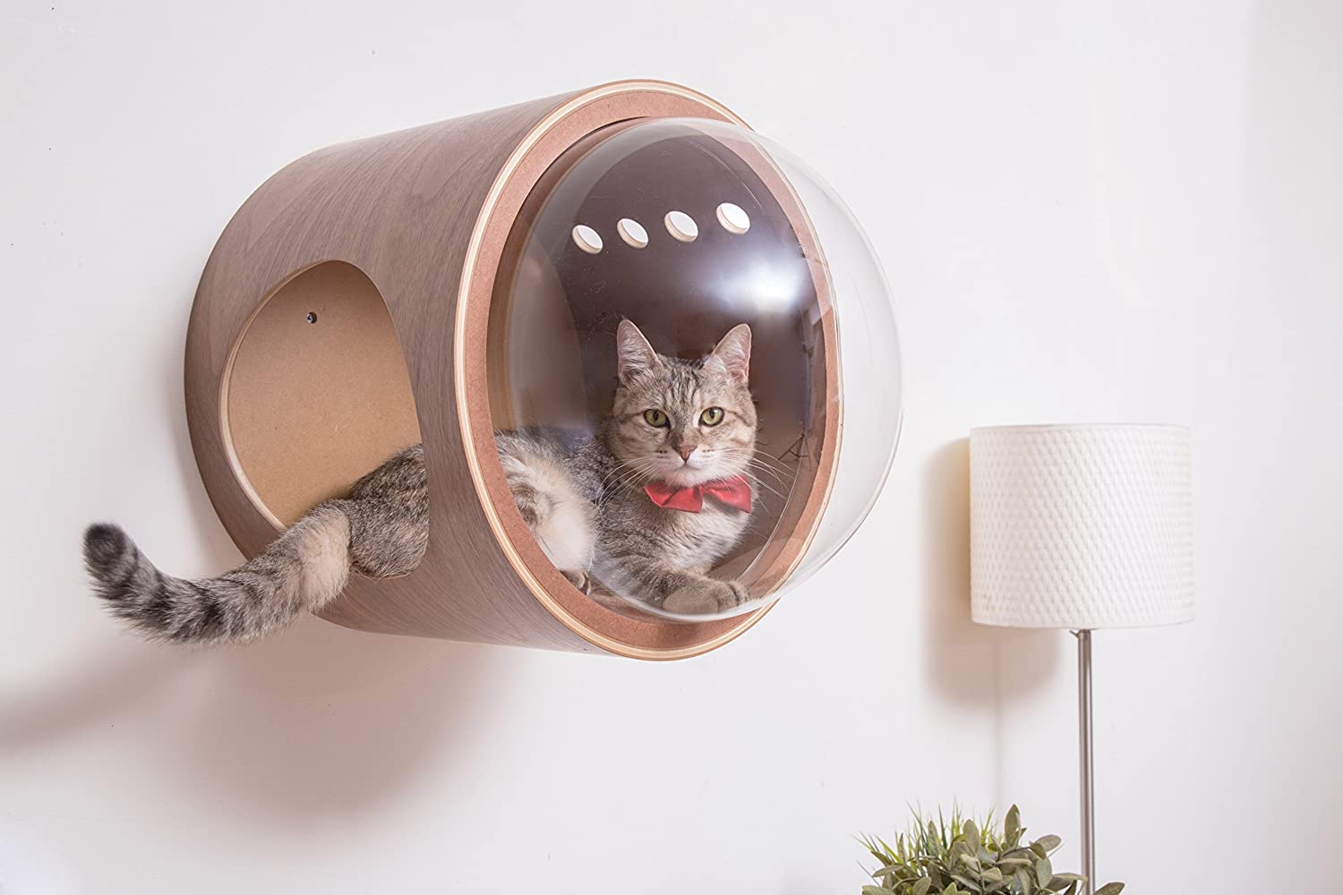 cat-house.jpg