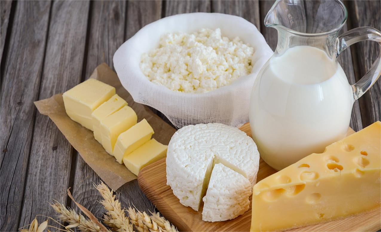 dairy products