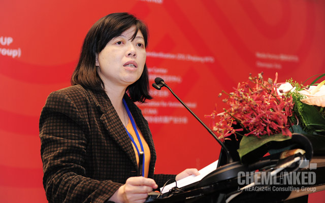 Sinew Consulting Group Sandra Huang