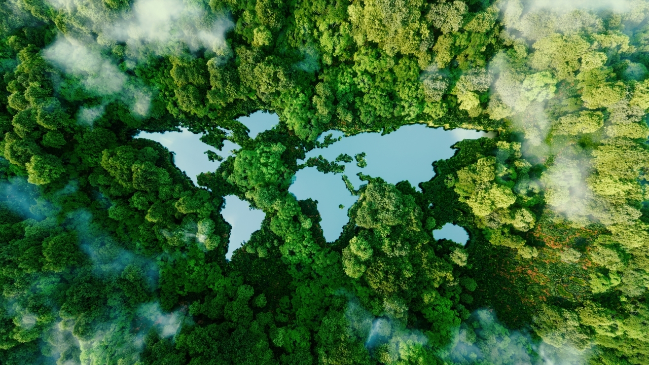 Solutions for Carbon Neutrality: Help You Achieve Your Sustainability Goals